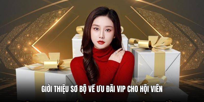 Giới thiệu sơ bộ về ưu đãi VIP cho hội viên